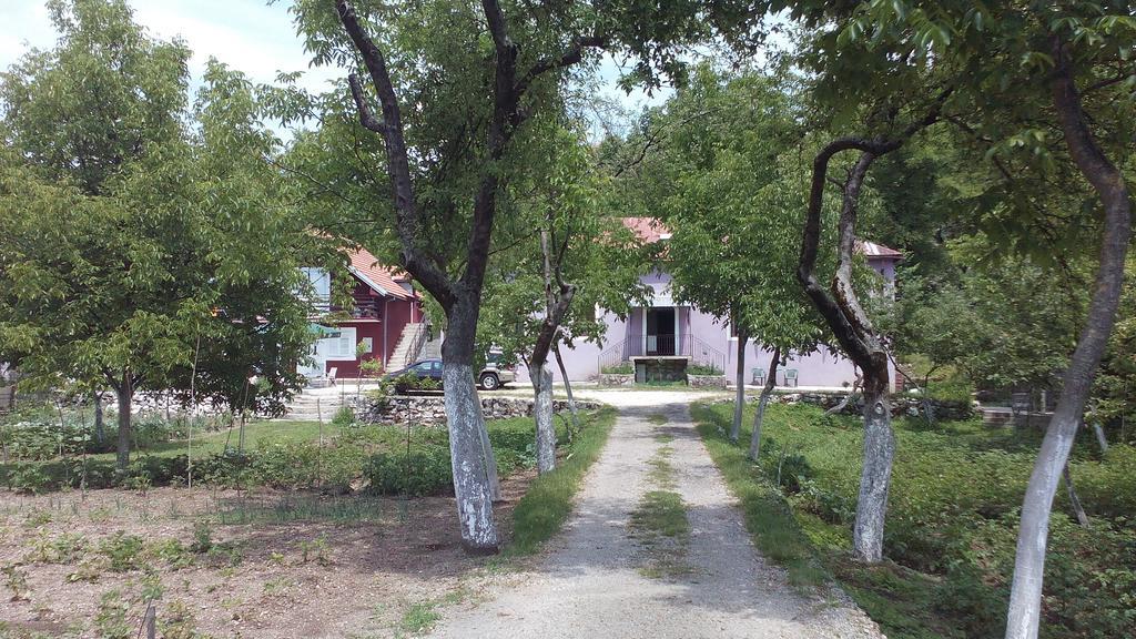 Casa Calda Apartments Cetinje Room photo